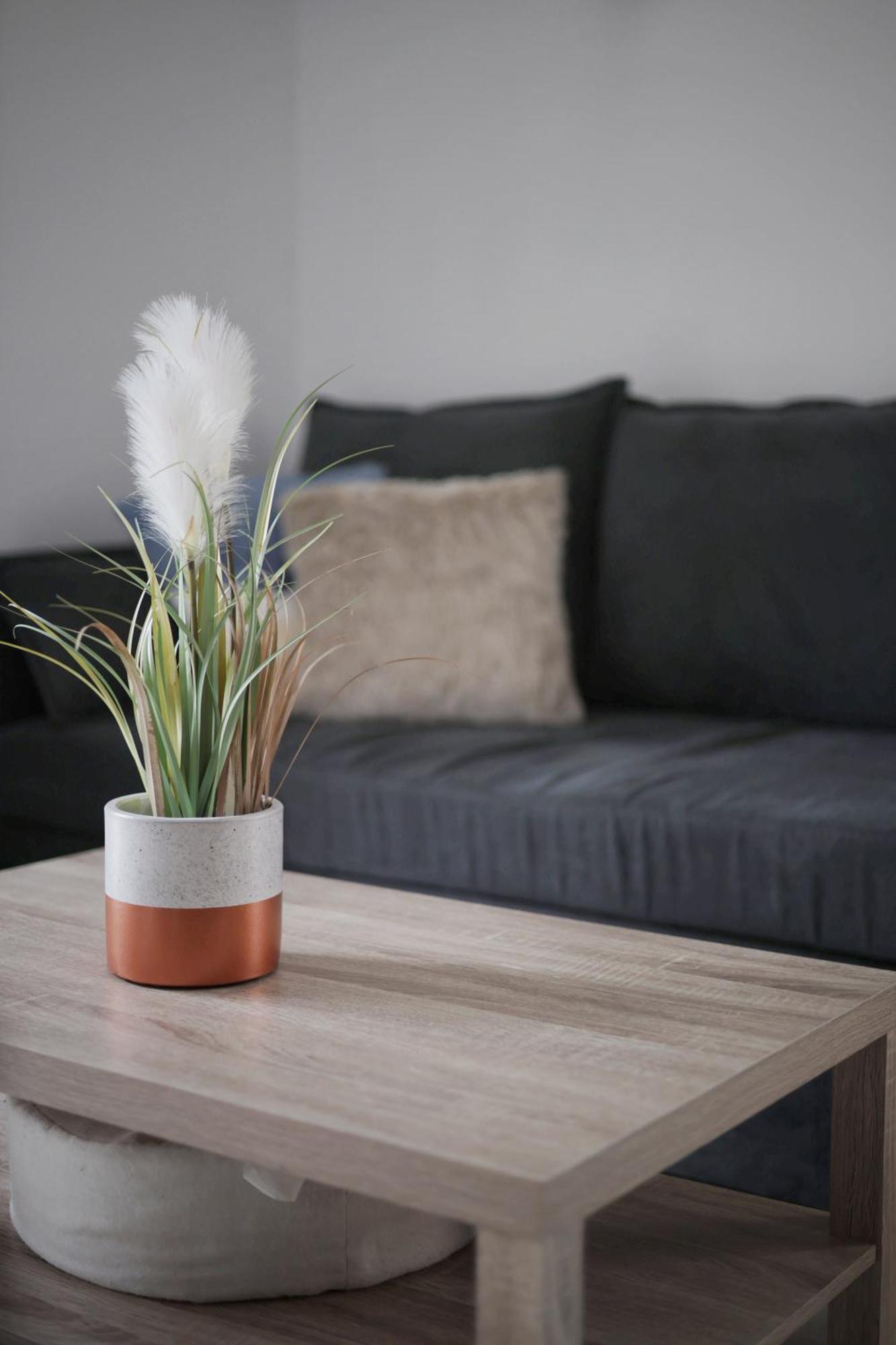 Appartement Familial Avec Jardin Ensoleille Dans La Cite Des Potiers Vallauris Kültér fotó